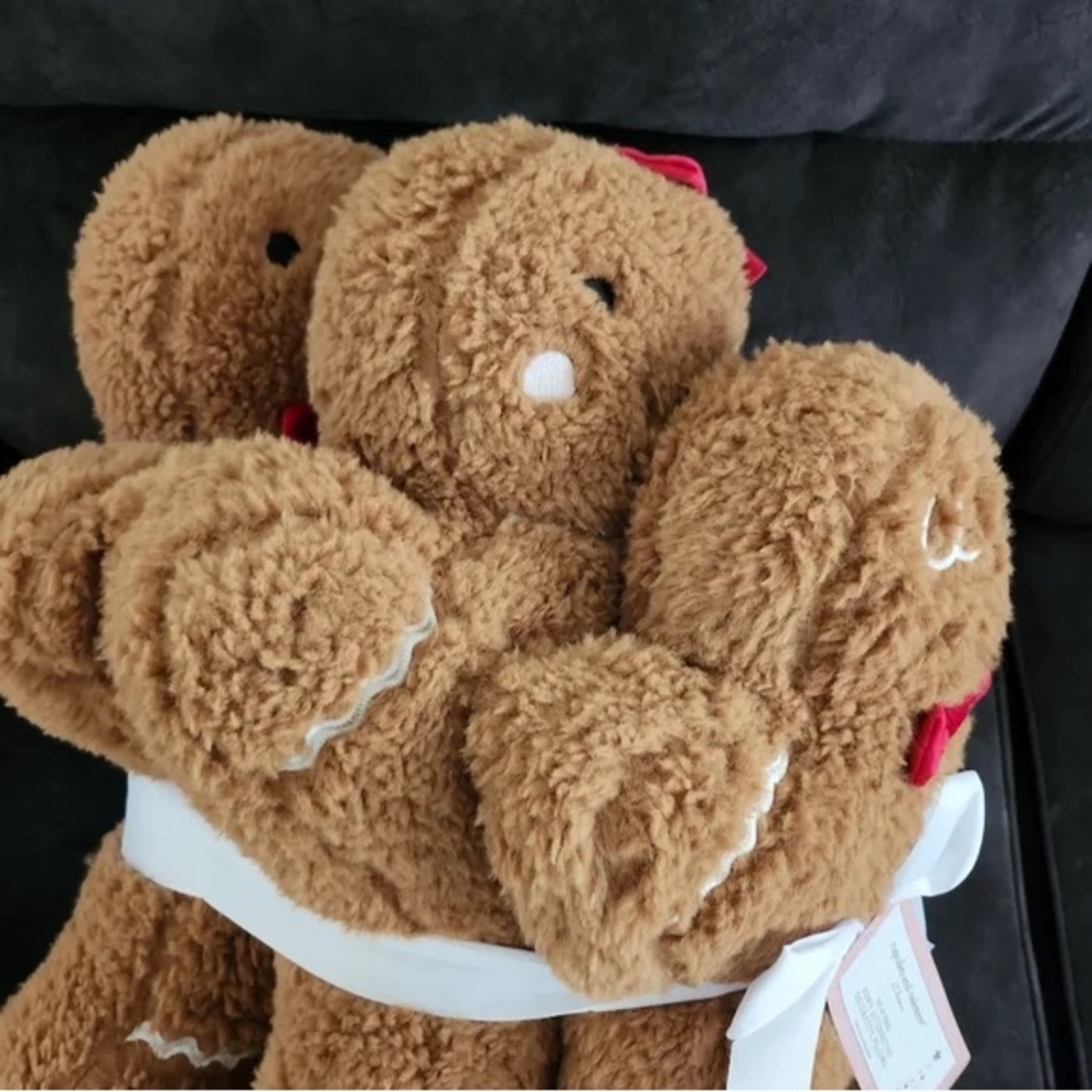 BNWT Cupcakes & Cashmere Gingerbread family pillow pack